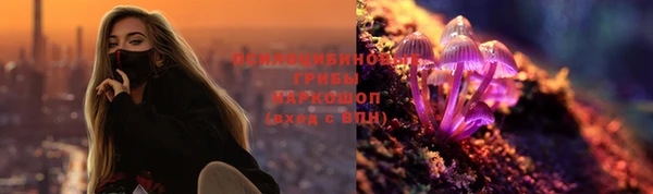 гидропоника Абаза