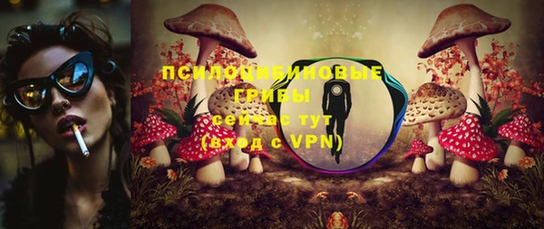 шишки Абдулино