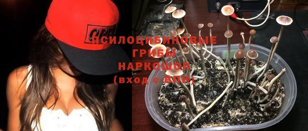 гидропоника Абаза